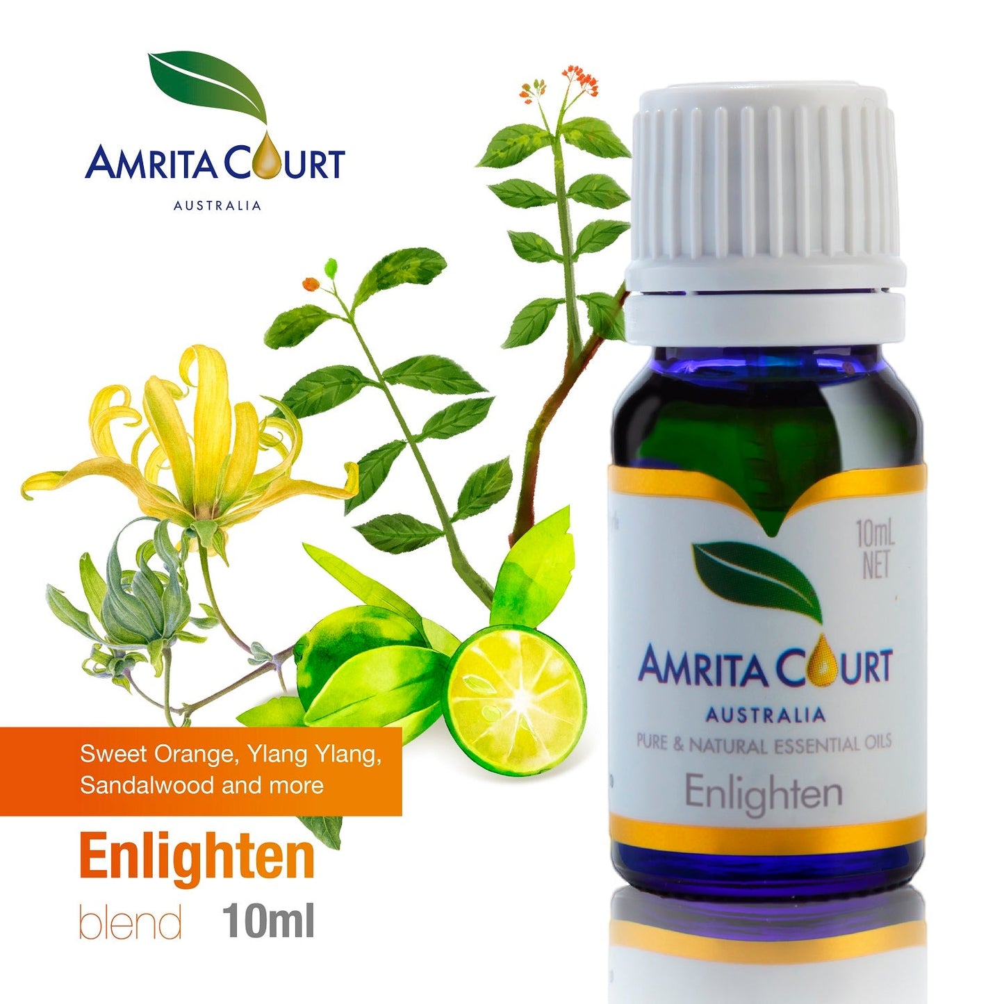 Enlighten+Wood Diffuser | Uplift Mood | Generate Energy | Productivity-3